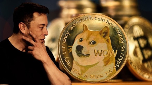 Doge Brands: Canine Crypto Ascending into Legitimate Digital Assets