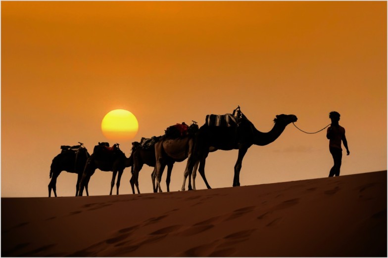 Why Your Next Adventure Should Unfold in Morocco: Unveiling Wonders with Morocco Travel Organizer