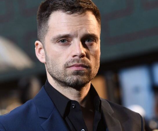 The Life and Career of Sebastian Stan: An In-Depth Look