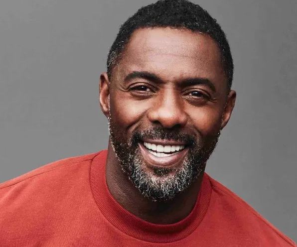 The Life And Career Of Idris Elba: An In-Depth Look