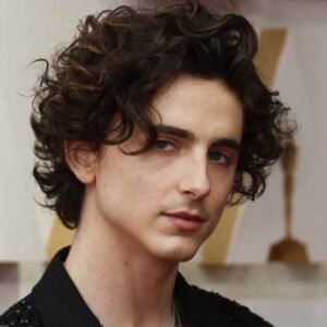 Exploring Timothée Chalamet: A Rising Star in Hollywood