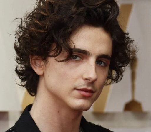 Exploring Timothée Chalamet: A Rising Star in Hollywood